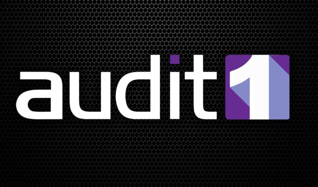 Audit1 Logo