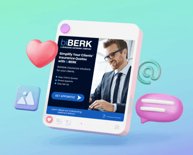 biBerk Digital Advertsiment